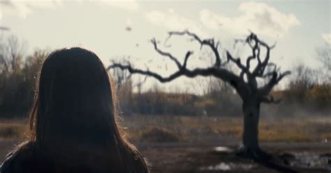 gomovie blood & gold|Blood: Plot, Cast, Release Date, and Everything Else We Know .